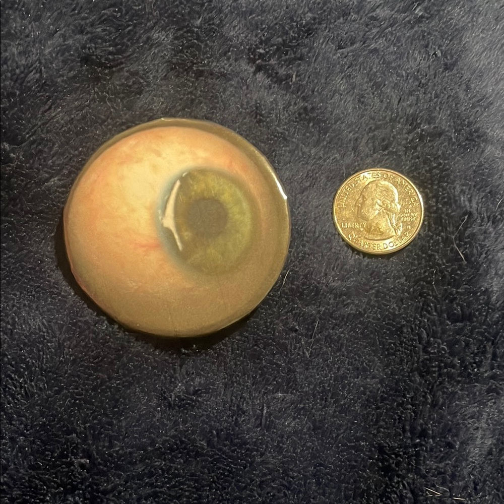 Eye Button Pin
